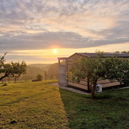 Вилла Vinea Panonika Wine & Mind Retreat Раденци Экстерьер фото