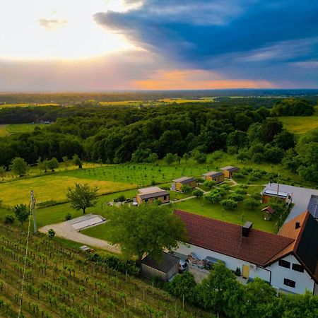 Вилла Vinea Panonika Wine & Mind Retreat Раденци Экстерьер фото