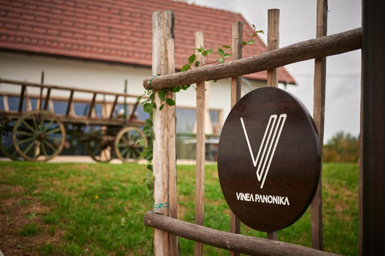 Вилла Vinea Panonika Wine & Mind Retreat Раденци Экстерьер фото