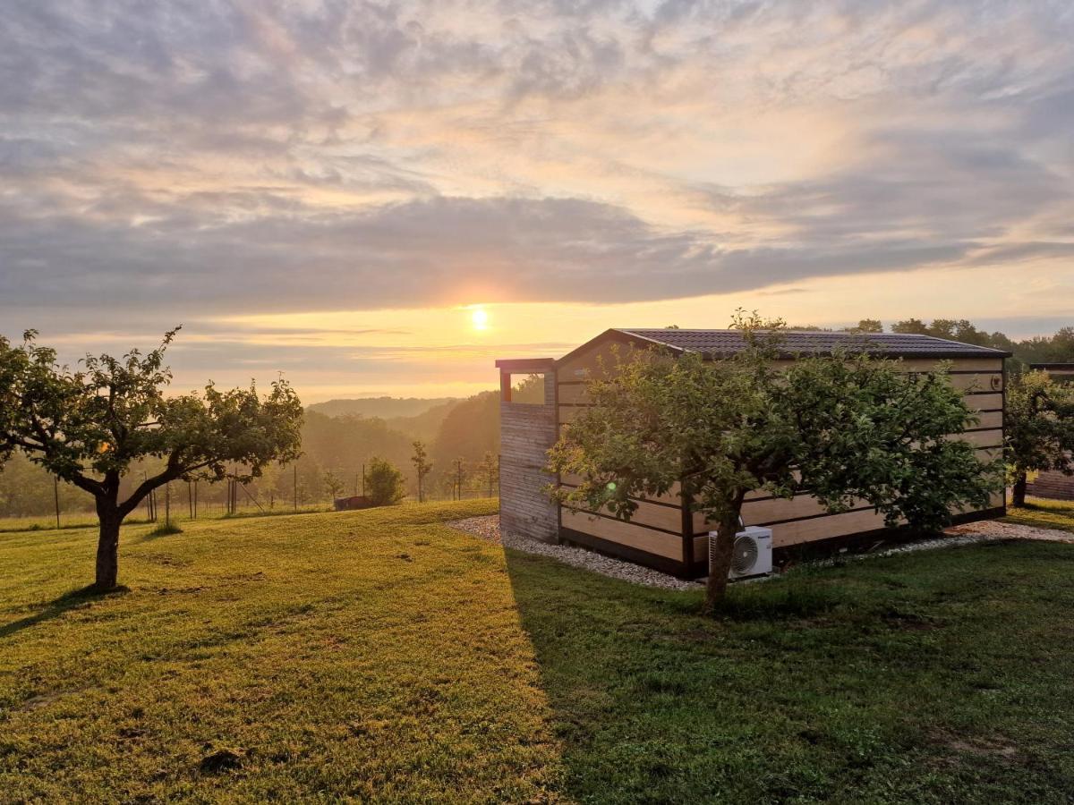 Вилла Vinea Panonika Wine & Mind Retreat Раденци Экстерьер фото